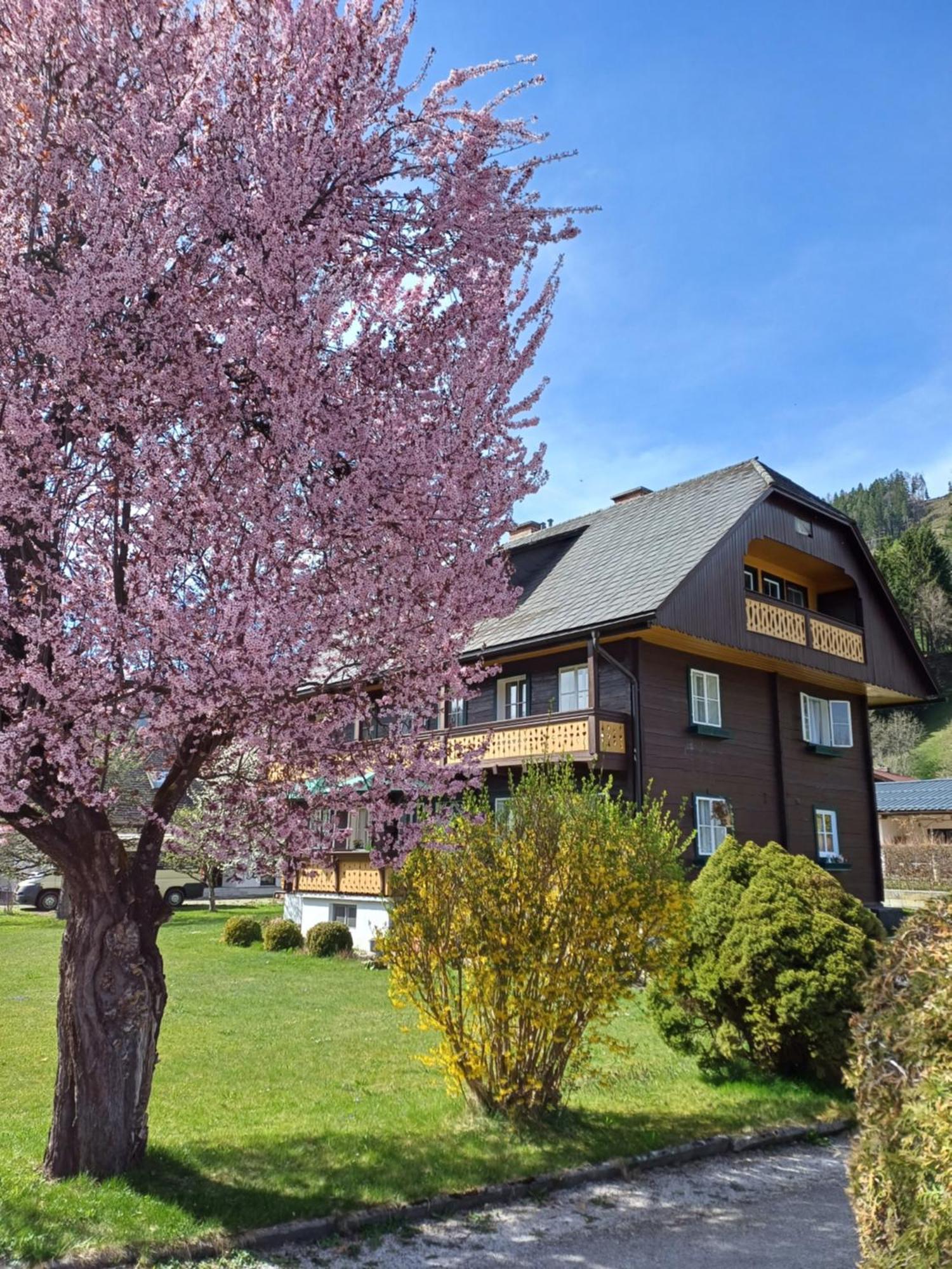 Appartement Steiner Schladming Exteriör bild