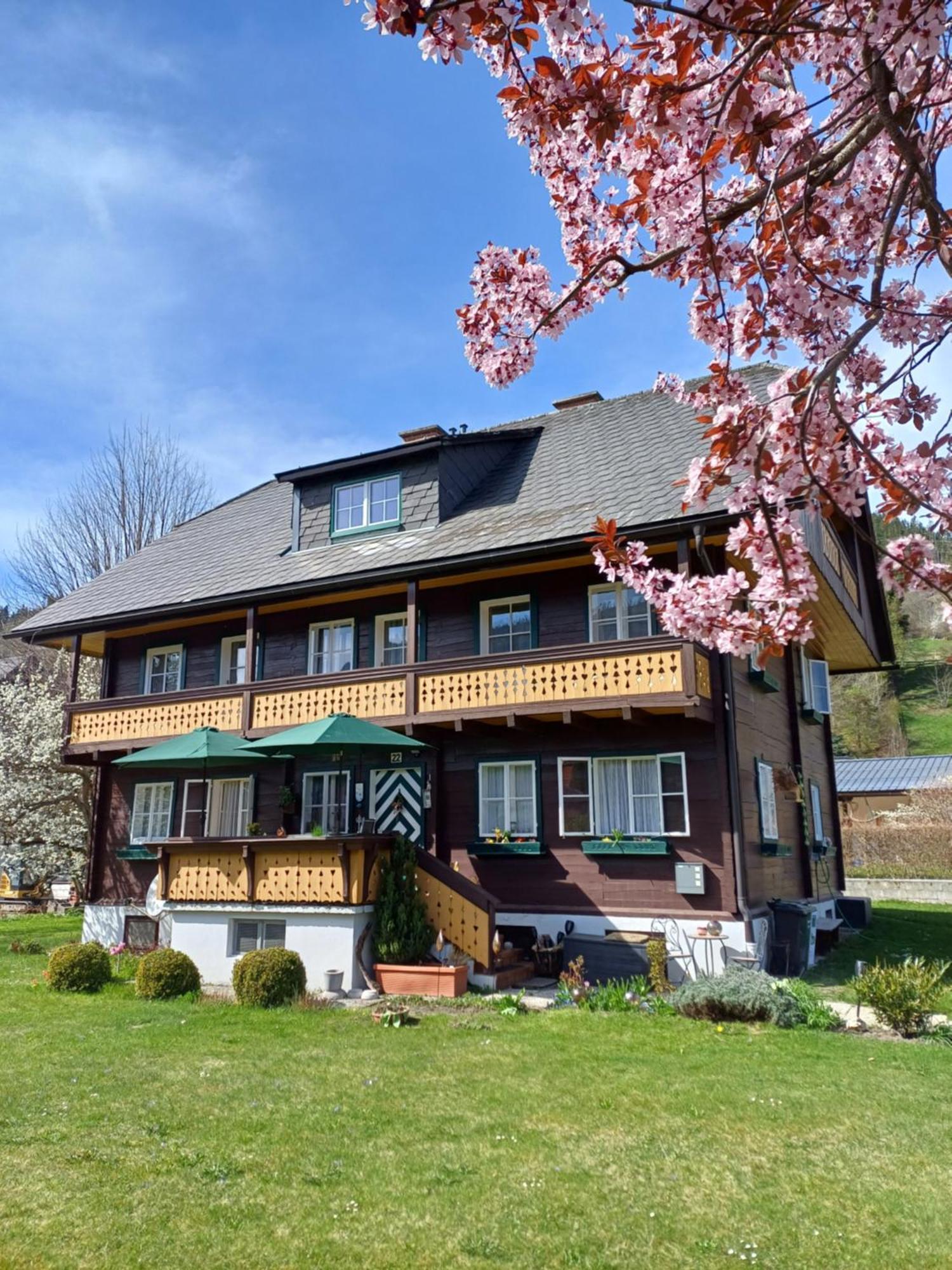 Appartement Steiner Schladming Exteriör bild