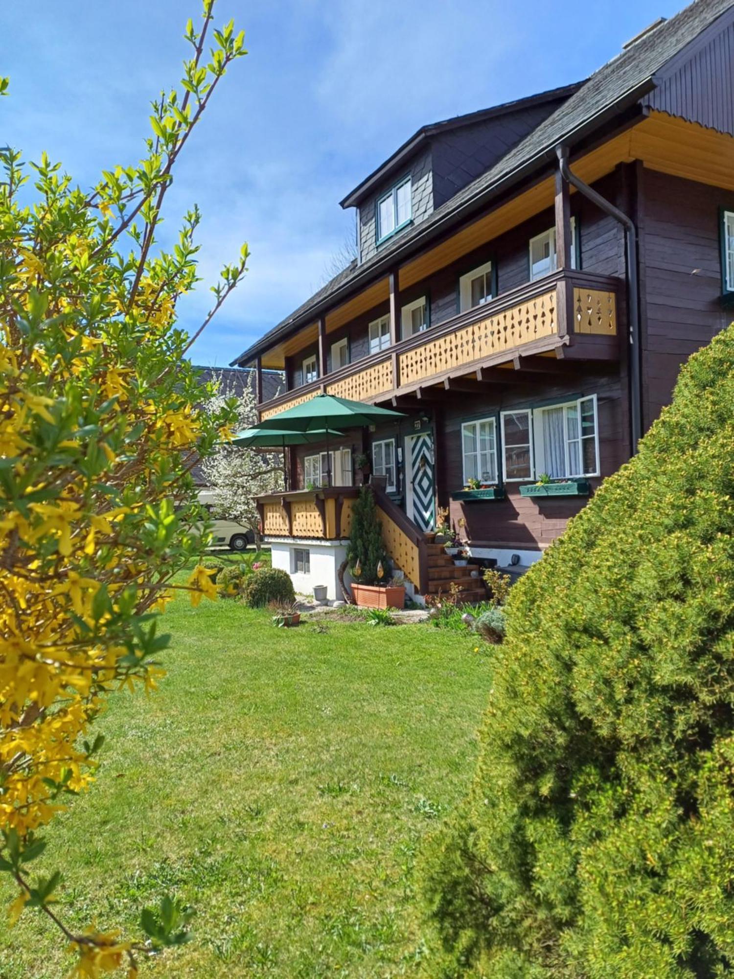 Appartement Steiner Schladming Exteriör bild