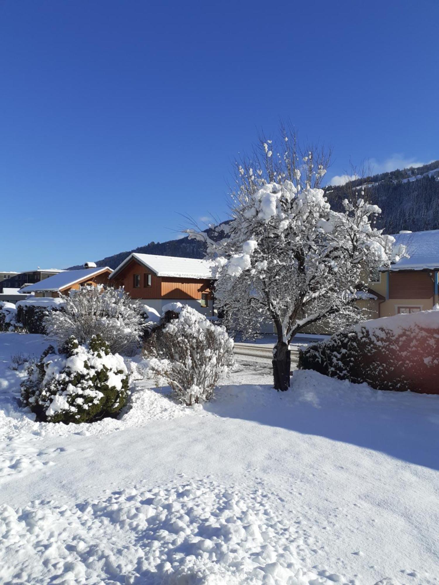 Appartement Steiner Schladming Exteriör bild